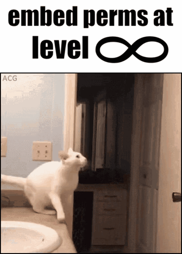 a picture of a cat with the caption embed perms at level