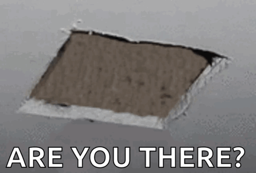 A cat peeks through a ceiling hole with “ARE YOU THERE?” text.