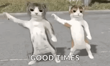 two cats are dancing on the street with the words `` good times '' written below them .
