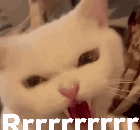 a close up of a white cat with its mouth open and the words `` rrrrrrr '' written on the bottom .