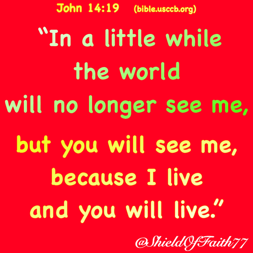 a bible verse from john 14:19 says " in a little while the world will no longer see me but you will see me "
