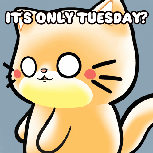 a cat with the words " it 's only tuesday " written above it