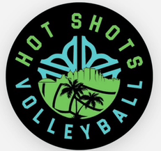 a logo for hot shots volleyball with palm trees and a city skyline