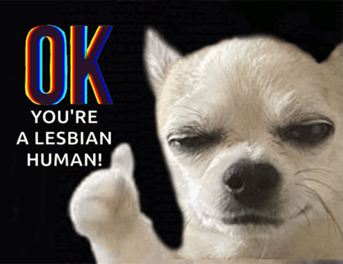 a dog giving a thumbs up with the words ok you 're a lesbian human behind it
