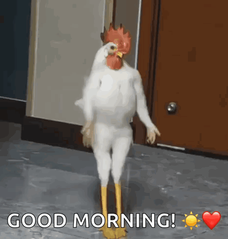 A chicken stands upright in a hallway with “GOOD MORNING!” text.