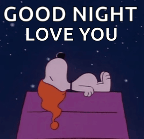 a cartoon of snoopy laying on a bed with the words good night love you below him