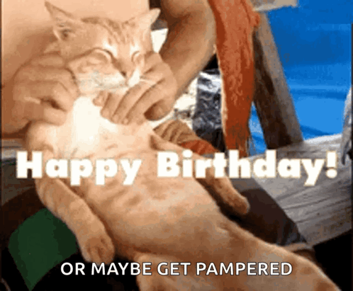 a person is petting a cat with the words happy birthday or maybe get pampered above it