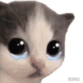 A gray-and-white kitten stares with giant glossy eyes and a single tear.