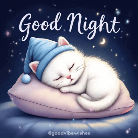 A white cat sleeps on a pillow beneath “Good Night” and a crescent moon.