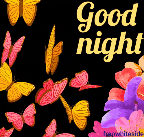 Colorful butterflies frame yellow script reading “Good night” on black.