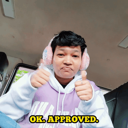 A person in a purple hoodie gives two thumbs up with “OK. APPROVED.”