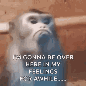 Fuzzy creature looks sad under a feelings caption.