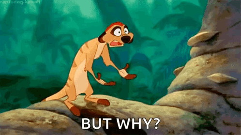 A cartoon meerkat-like character asks “BUT WHY?” in a forest scene.
