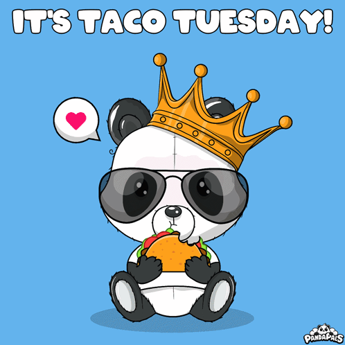 a panda bear wearing a crown and sunglasses eating a taco on tuesday