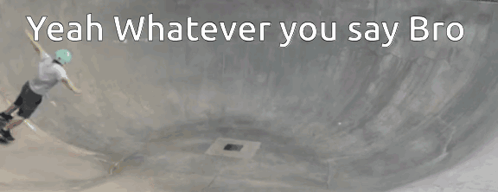A tiny figure crosses a gray landscape with “Yeah Whatever you say Bro.”