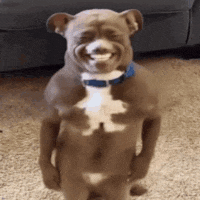 A smiling AI-style dog dances upright wearing a blue collar.