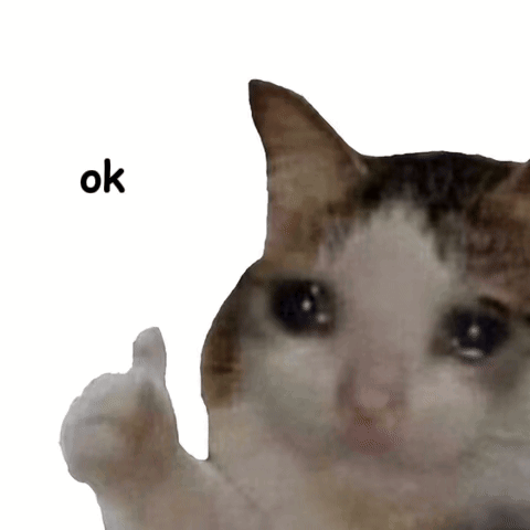 A teary-eyed cat raises a tiny thumbs-up paw beside “ok.”