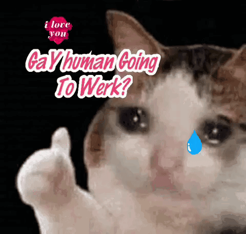a cat with a tear in its eye is giving a thumbs up and saying gay human going to work