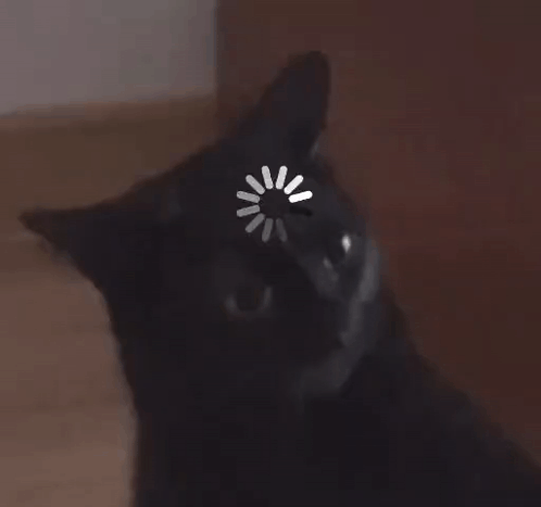 A black cat tilts its head while a loading spinner overlays its face.