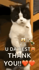 A black-and-white cat stands upright with “U DA BEST THANK YOU!!!” and hearts.