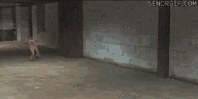 a naked man is standing in a room with a sign that says senorgif.com on it