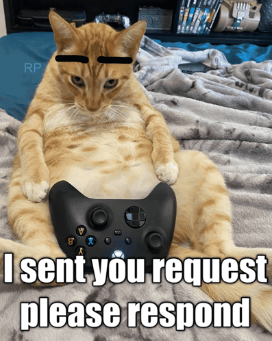 An orange cat holds a game controller with the caption “I sent you request please respond.”