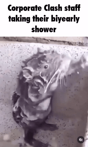 a corporate clash staff is taking their biannual shower