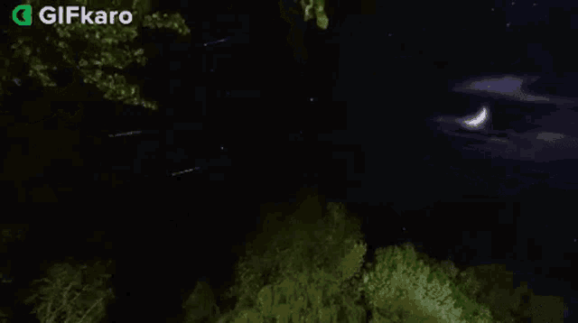 a crescent moon is visible in the night sky over a forest