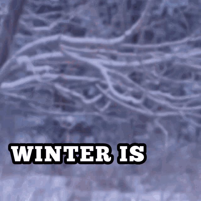 a blurred image of a person in the snow with the words winter is visible