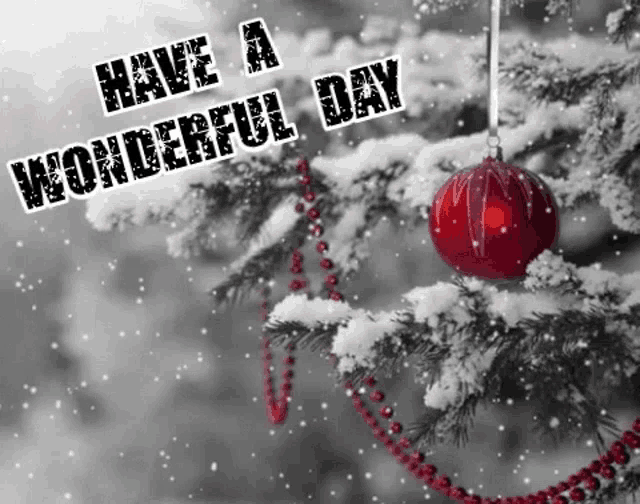 a snowy christmas tree with a red ornament and the words have a wonderful day