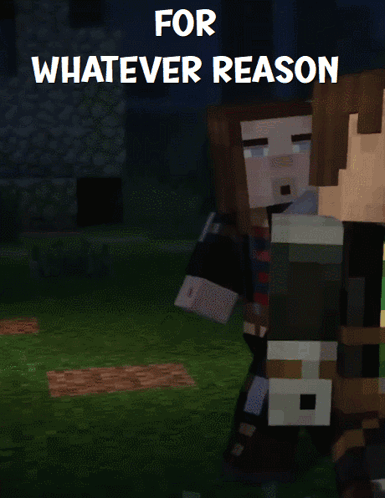 a picture of a minecraft character with the words for whatever reason above it