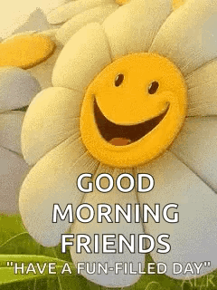 a stuffed flower with a smiley face on it and the words `` good morning friends `` .