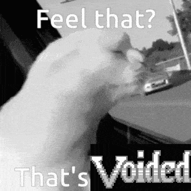 a black and white photo of a cat with the words feel that that 's voided below it .