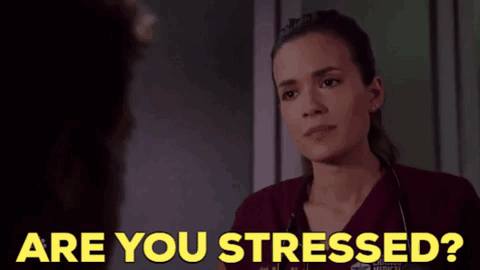 a woman talking to another woman with the words " are you stressed " written above her