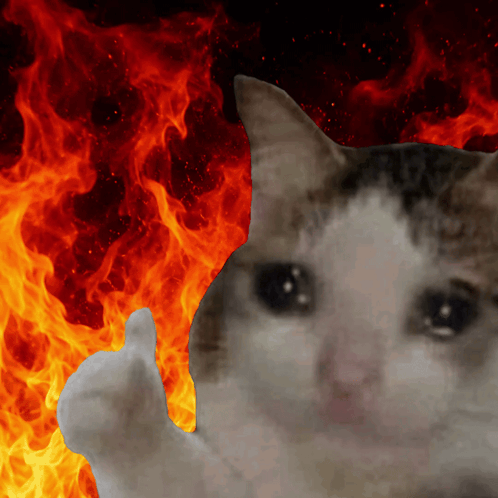 A crying cat gives a thumbs up against a fiery red background.