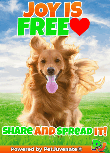 a poster that says joy is free on it