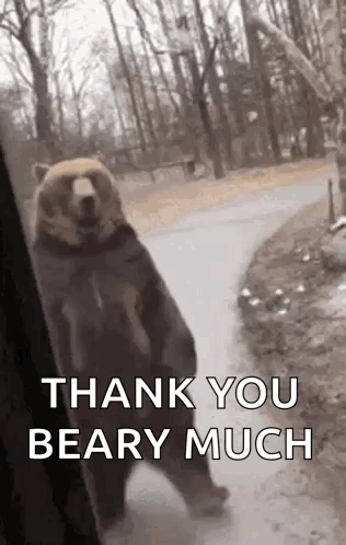 A bear walks along a snowy path with “THANK YOU BEARY MUCH” text.