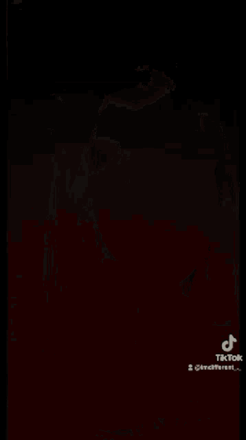 a girl with long black hair and bangs is wearing a black shirt and looking at the camera .
