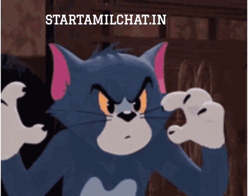 Tom from Tom and Jerry glares with fists raised.