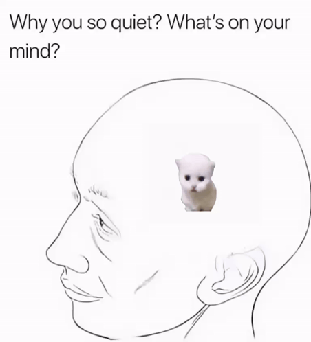A tiny white cat sits inside a line-drawn head under “Why you so quiet?”