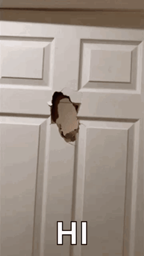 Elmo peeks through a hole in a door saying “HI.”