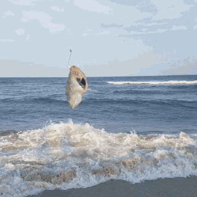 a fish is hanging upside down from a fishing hook in the ocean