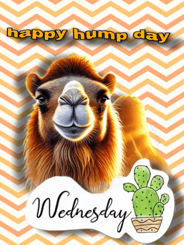 a picture of a camel with the words happy hump day wednesday