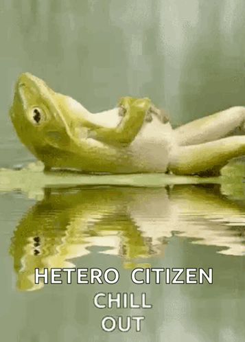 A frog on a lily pad is captioned “HETERO CITIZEN CHILL.”