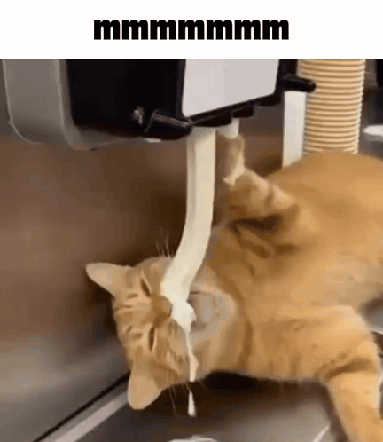 a cat is drinking milk from an ice cream dispenser .