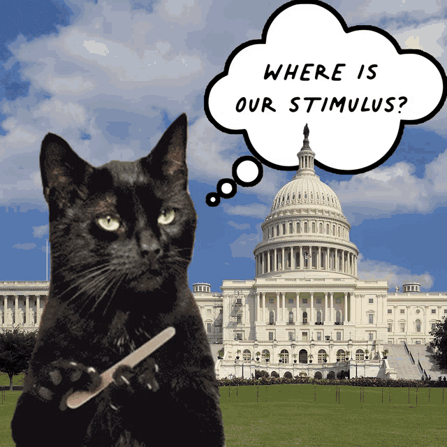 a black cat is holding a nail file in front of the capitol building with a thought bubble asking where is our stimulus