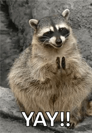 A raccoon eagerly clasps its paws with the caption “YAY!!”