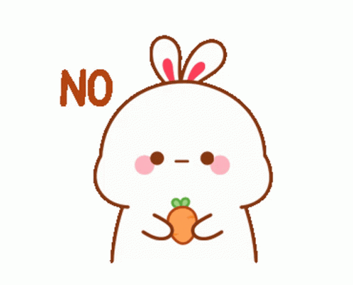 A simple bunny holds a carrot and says “NO.”