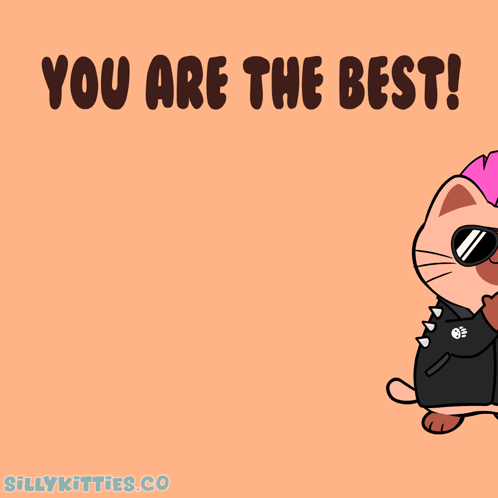 A cartoon cat in sunglasses says “YOU ARE THE BEST!”