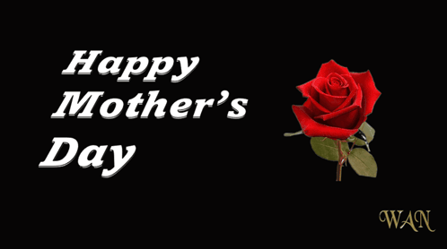 a happy mother 's day greeting card with a red rose and red hearts